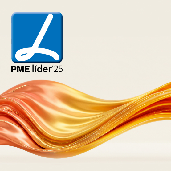 Estatuto PME Líder 2024